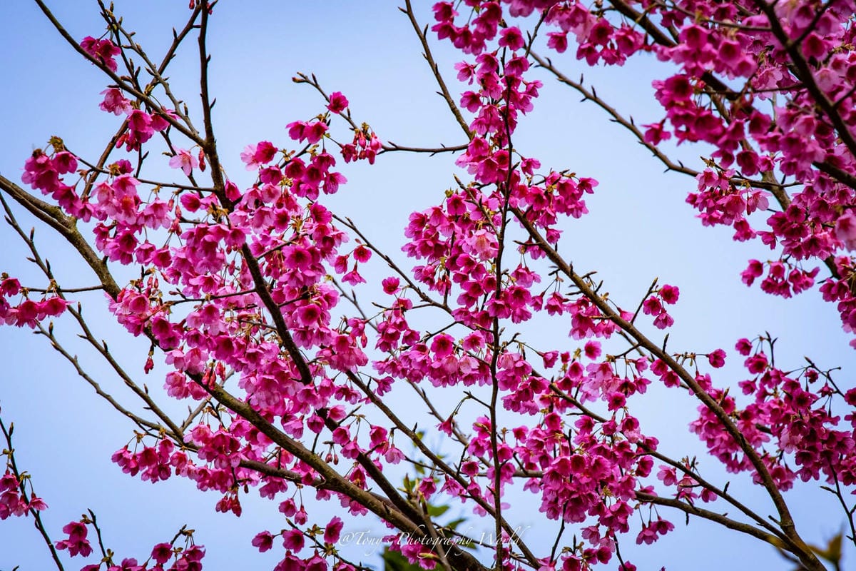 2021126@平等里_210126_11.jpg 2021126@平等里_210126_11.jpg