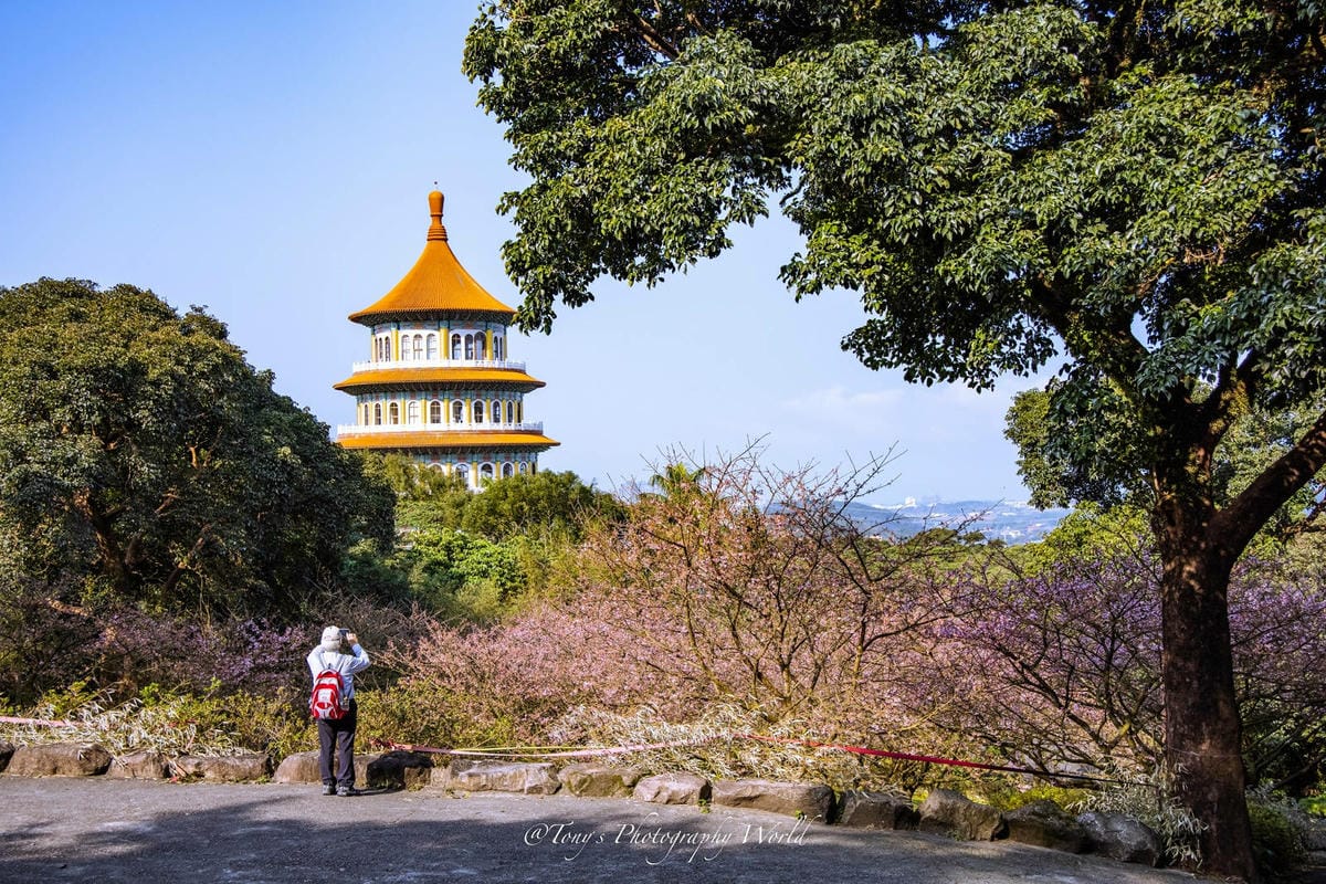 20210126@淡水天元宮_210126_9.jpg 20210126@淡水天元宮_210126_9.jpg