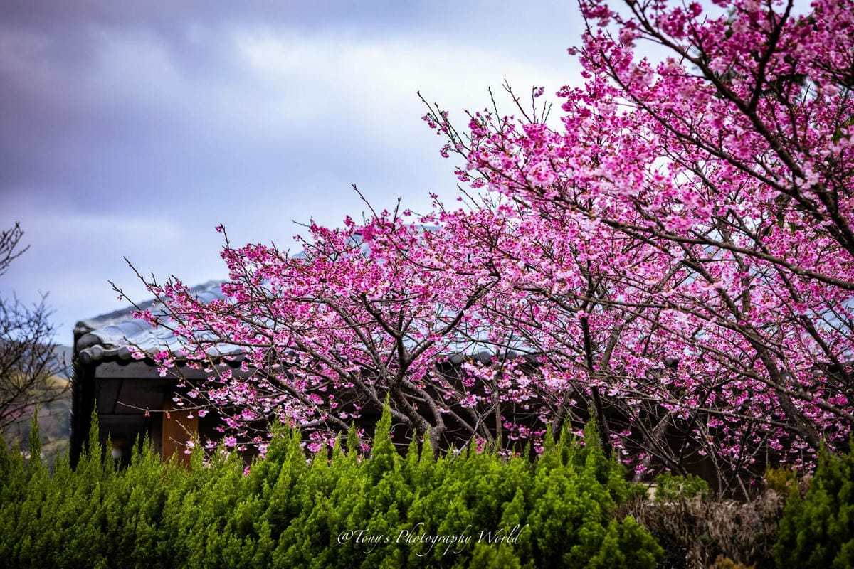 2021126@平等里_210126_9.jpg 2021126@平等里_210126_9.jpg