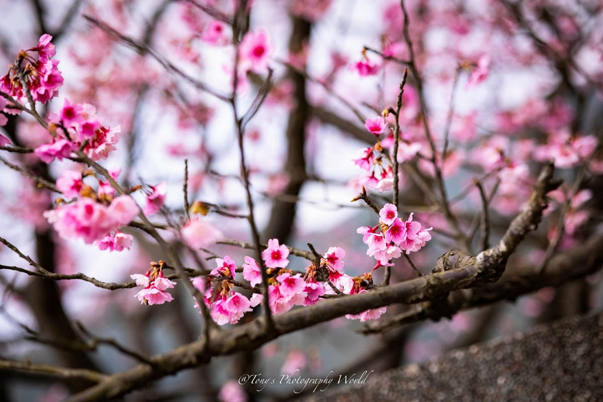 2021126@平等里_210126_7.jpg 2021126@平等里_210126_7.jpg