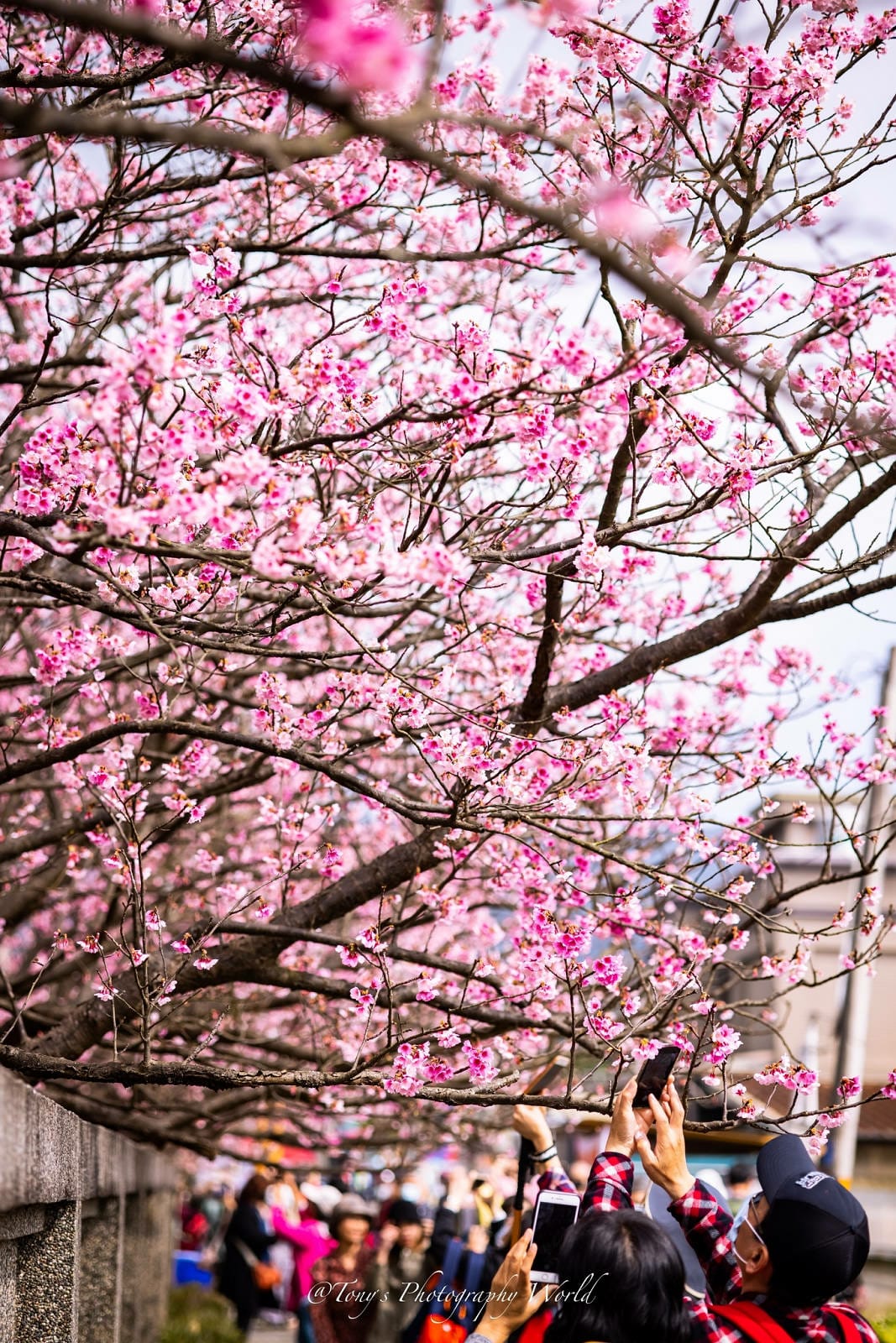 2021126@平等里_210126_2.jpg 2021126@平等里_210126_2.jpg