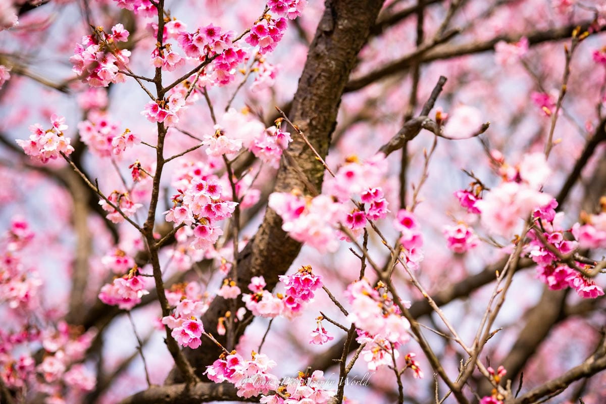 2021126@平等里_210126_4.jpg 2021126@平等里_210126_4.jpg