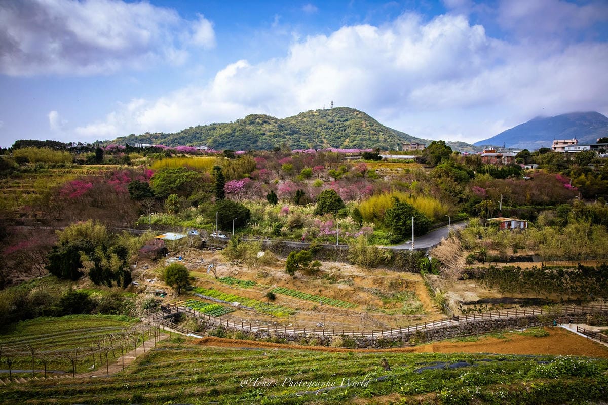 2021126@平等里_210126_10.jpg 2021126@平等里_210126_10.jpg