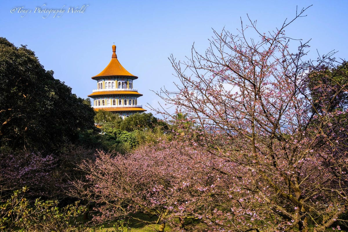 20210126@淡水天元宮_210126_5.jpg 20210126@淡水天元宮_210126_5.jpg