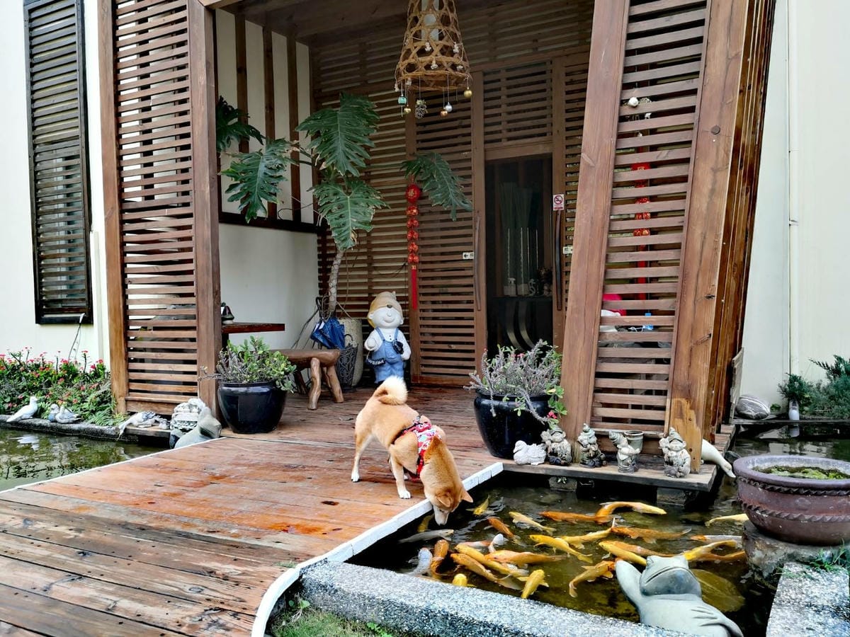 1114804.jpg 1114804.jpg