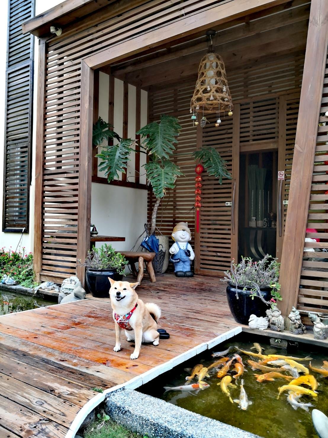 1114805.jpg 1114805.jpg