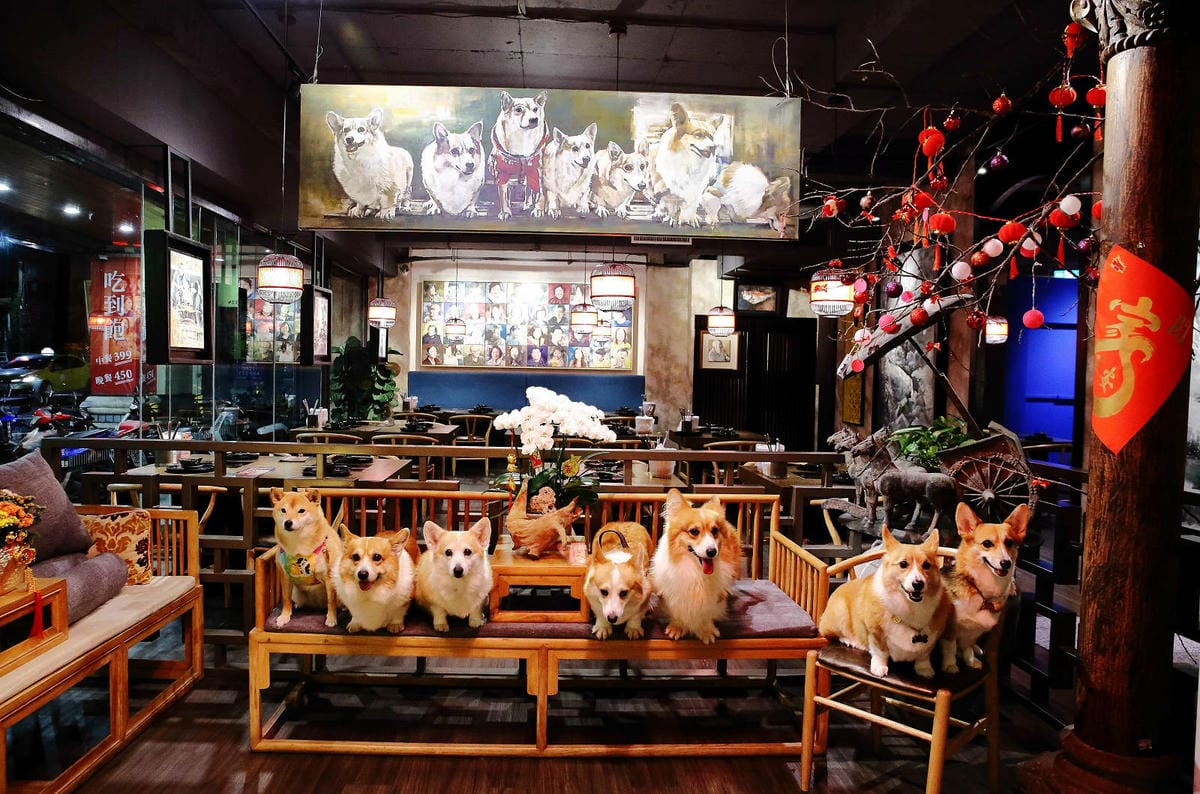 【食。汐止】藝爐晏火鍋美術館〜最狂火鍋吃到飽只要399起！汐