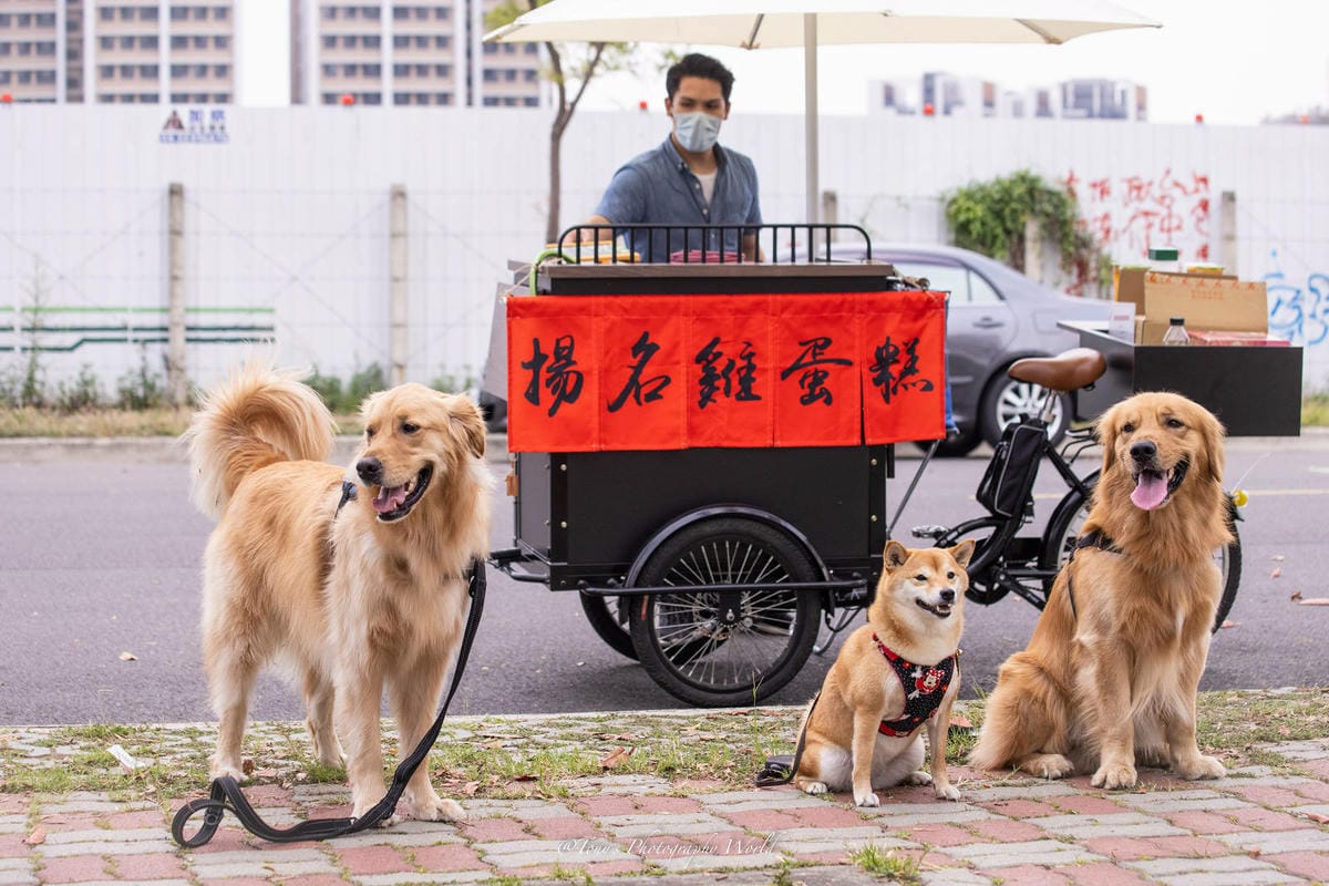 1R2A4500.jpg 1R2A4500.jpg