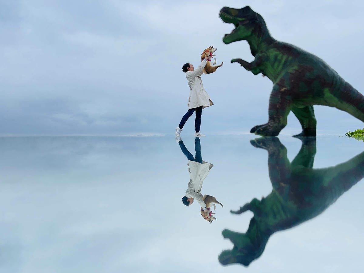 IMG_0578.JPG IMG_0578.JPG