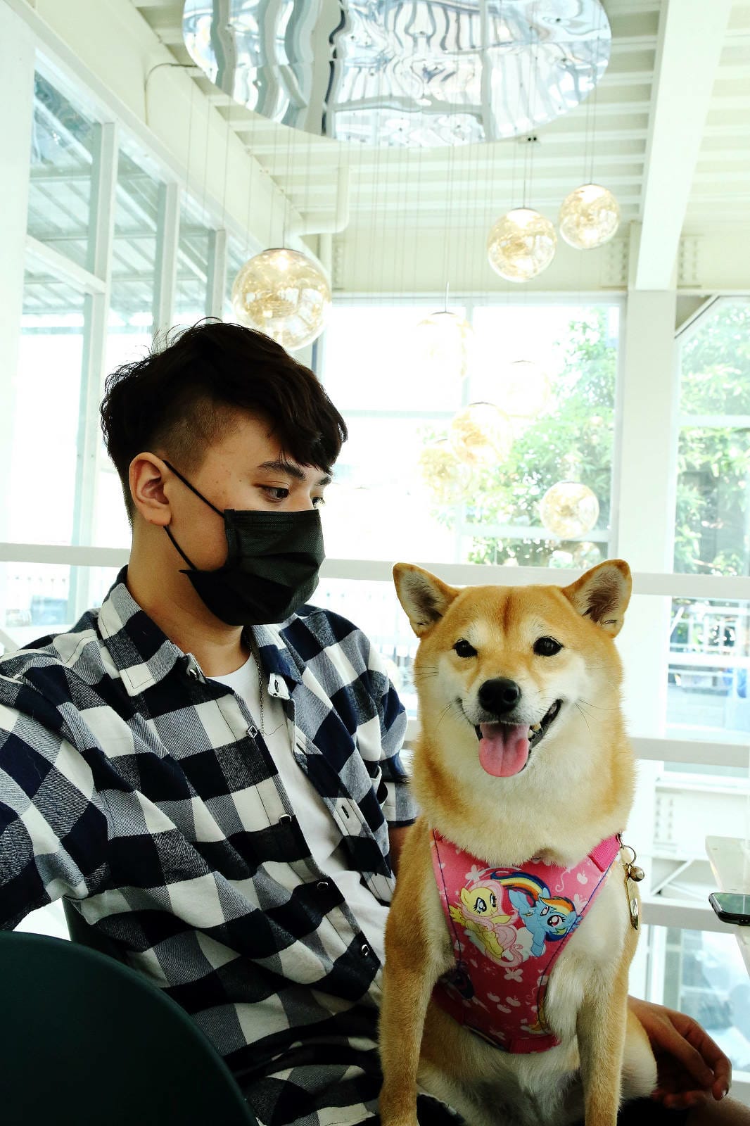 【食。台中】Nago Nago-寵物友善餐廳〜台中2021新