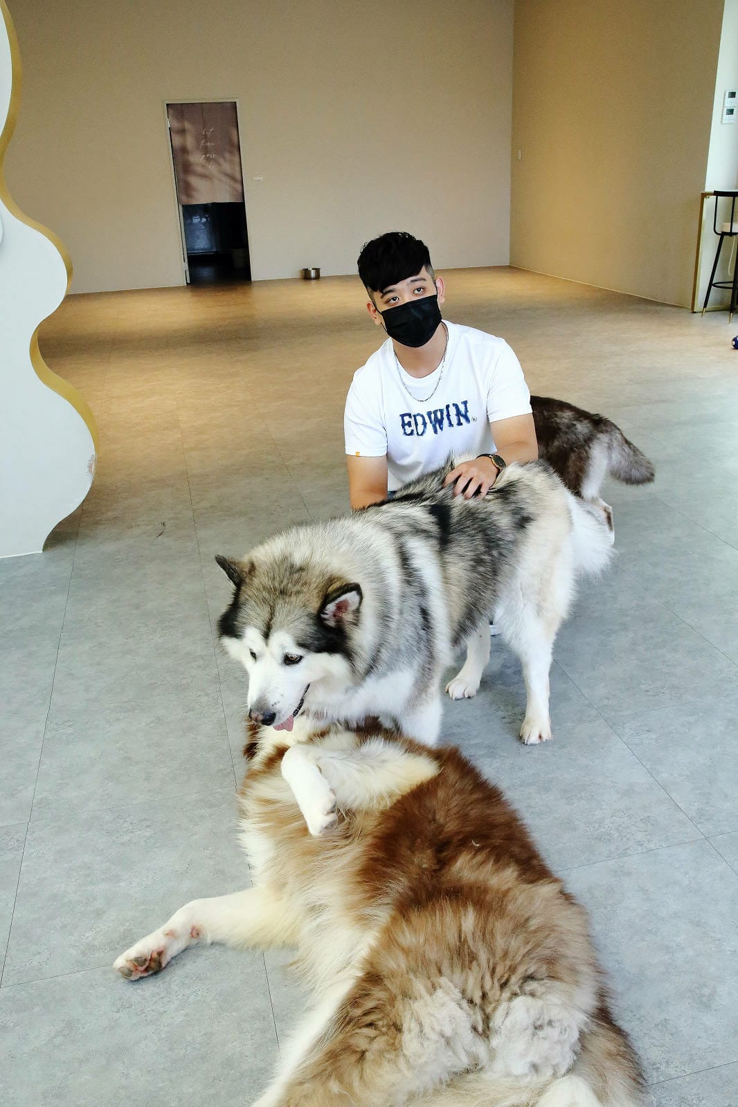 【食。台中】Nago Nago-寵物友善餐廳〜台中2021新