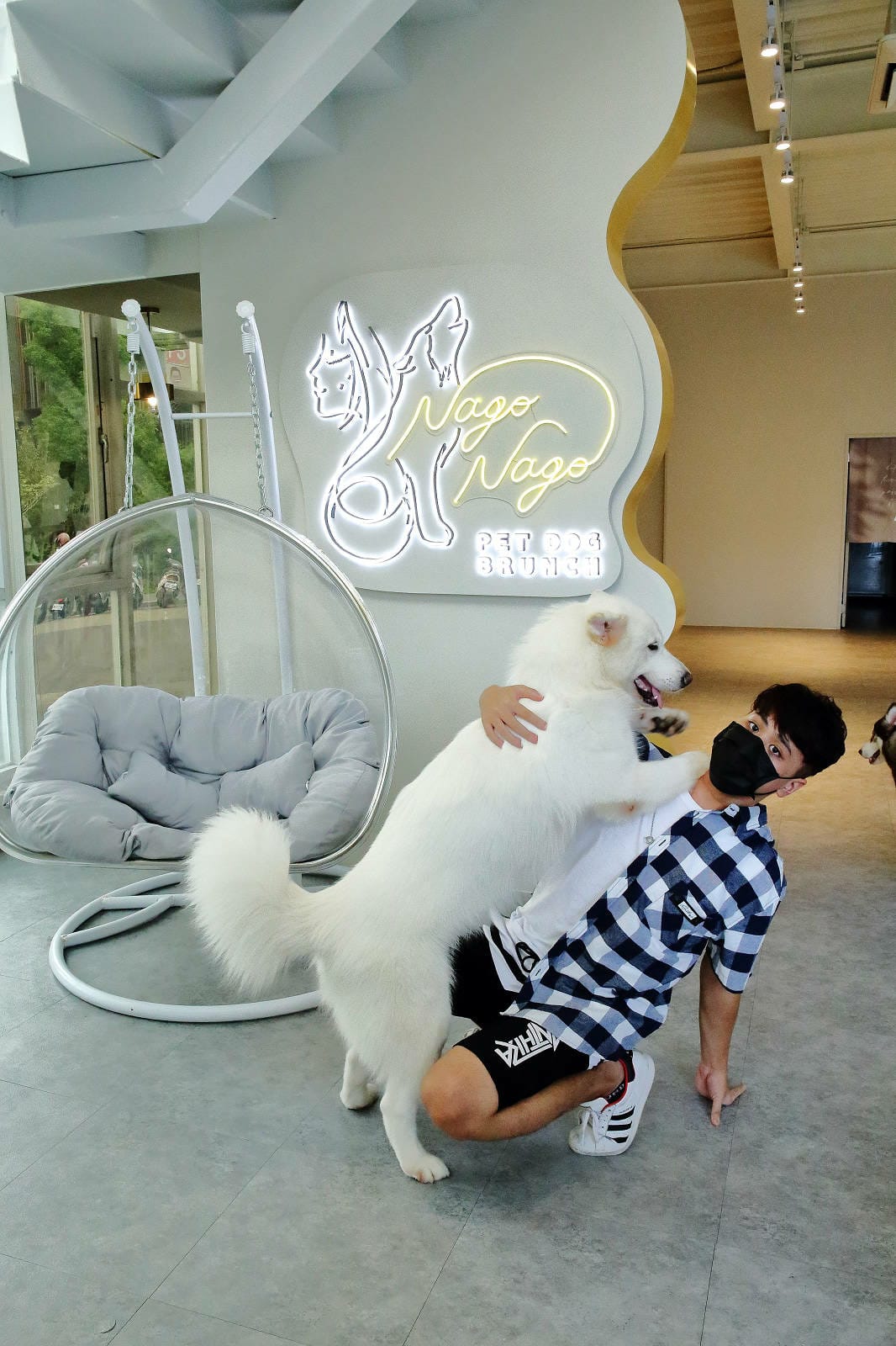 【食。台中】Nago Nago-寵物友善餐廳〜台中2021新