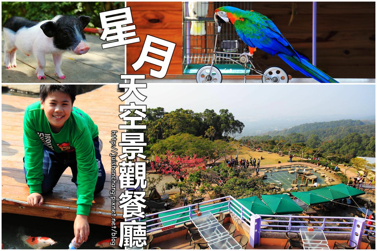 【南投寵物友善餐廳、旅遊景點懶人包】帶毛小孩吃喝玩樂趴趴GO 【南投寵物友善餐廳、旅遊景點懶人包】帶毛小孩吃喝玩樂趴趴GO