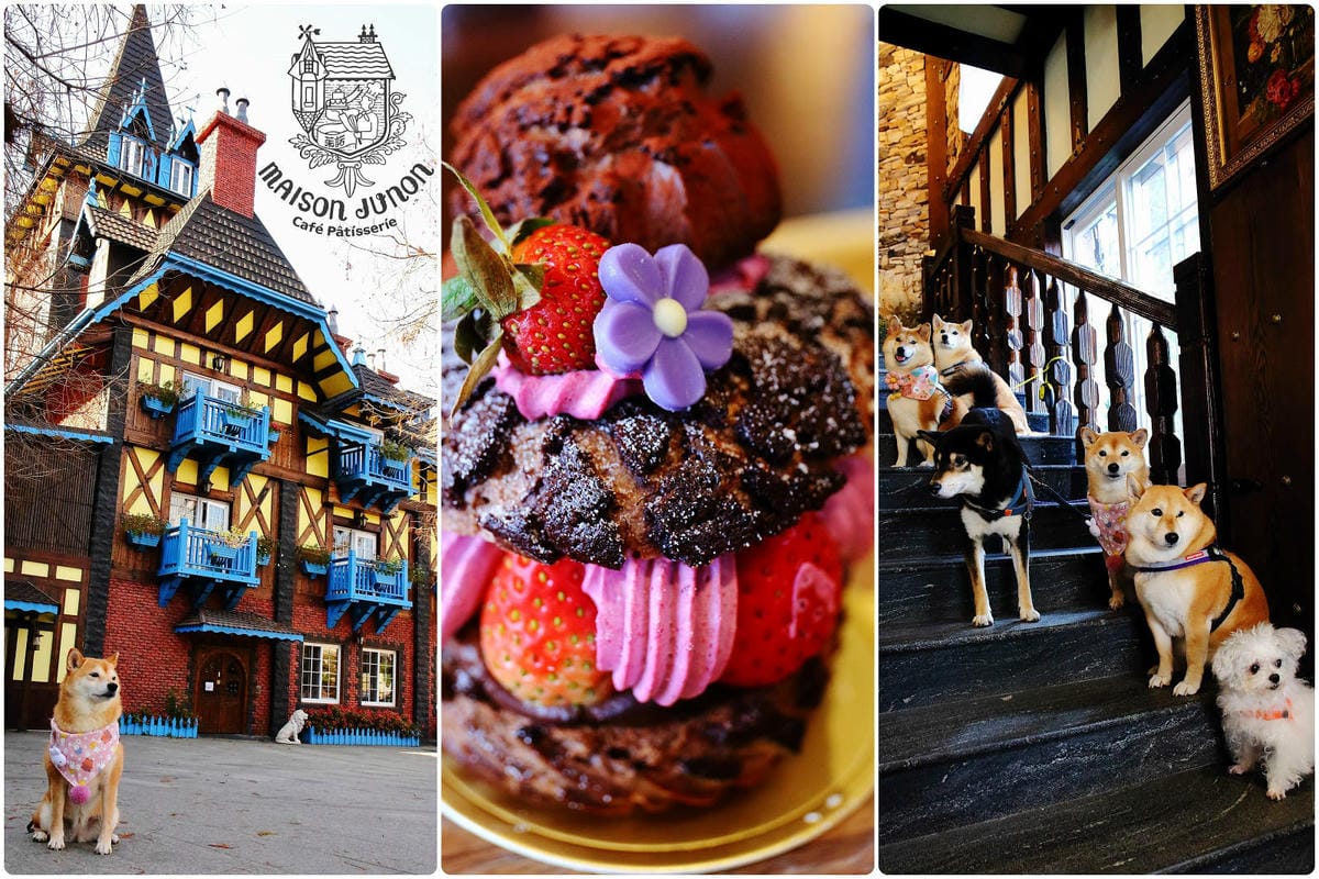 【南投寵物友善餐廳、旅遊景點懶人包】帶毛小孩吃喝玩樂趴趴GO 【南投寵物友善餐廳、旅遊景點懶人包】帶毛小孩吃喝玩樂趴趴GO