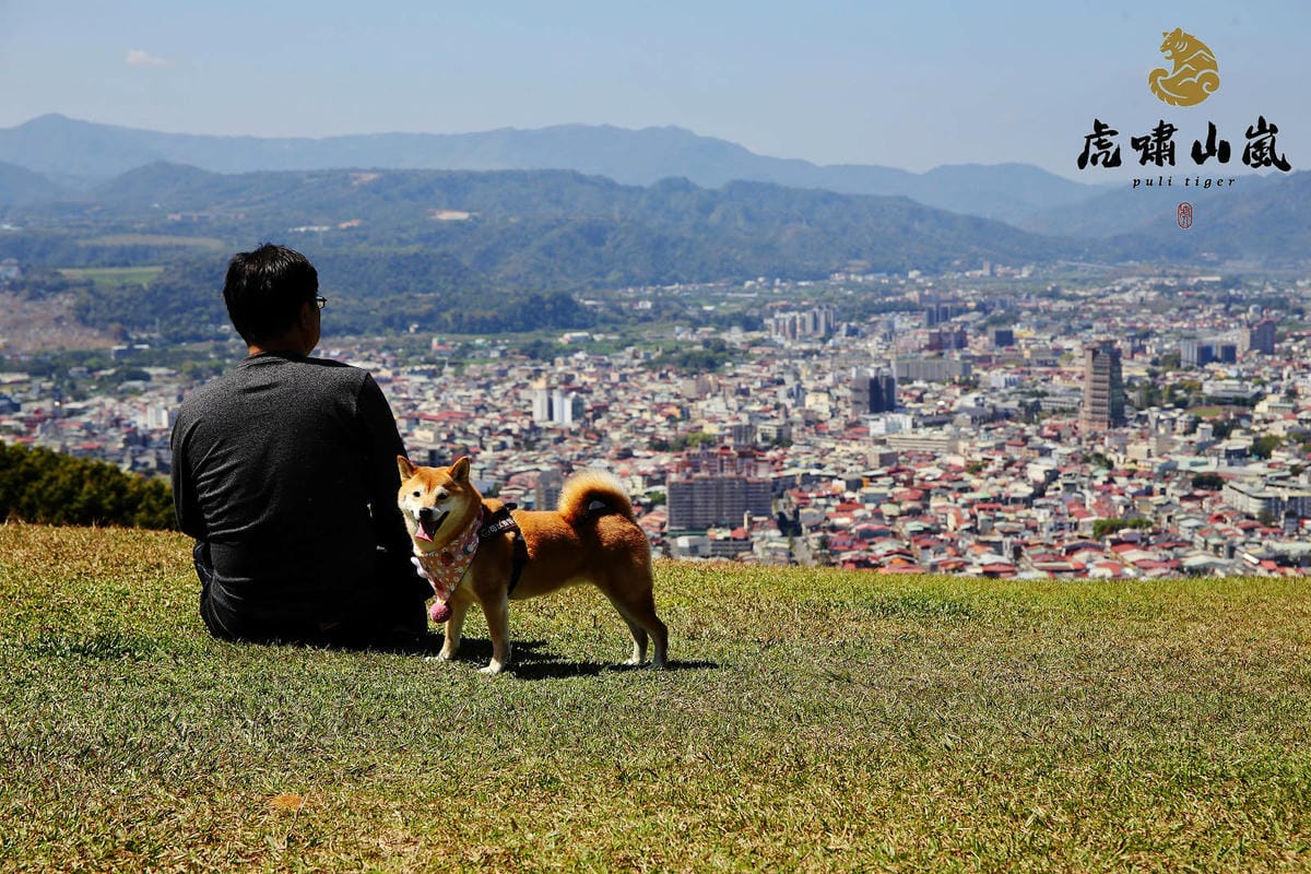 【南投寵物友善餐廳、旅遊景點懶人包】帶毛小孩吃喝玩樂趴趴GO 【南投寵物友善餐廳、旅遊景點懶人包】帶毛小孩吃喝玩樂趴趴GO