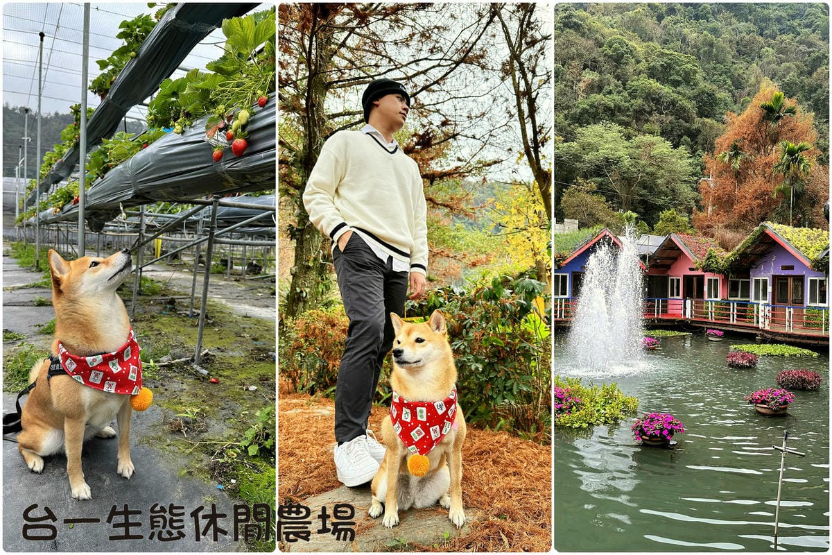 【南投寵物友善餐廳、旅遊景點懶人包】帶毛小孩吃喝玩樂趴趴GO 【南投寵物友善餐廳、旅遊景點懶人包】帶毛小孩吃喝玩樂趴趴GO