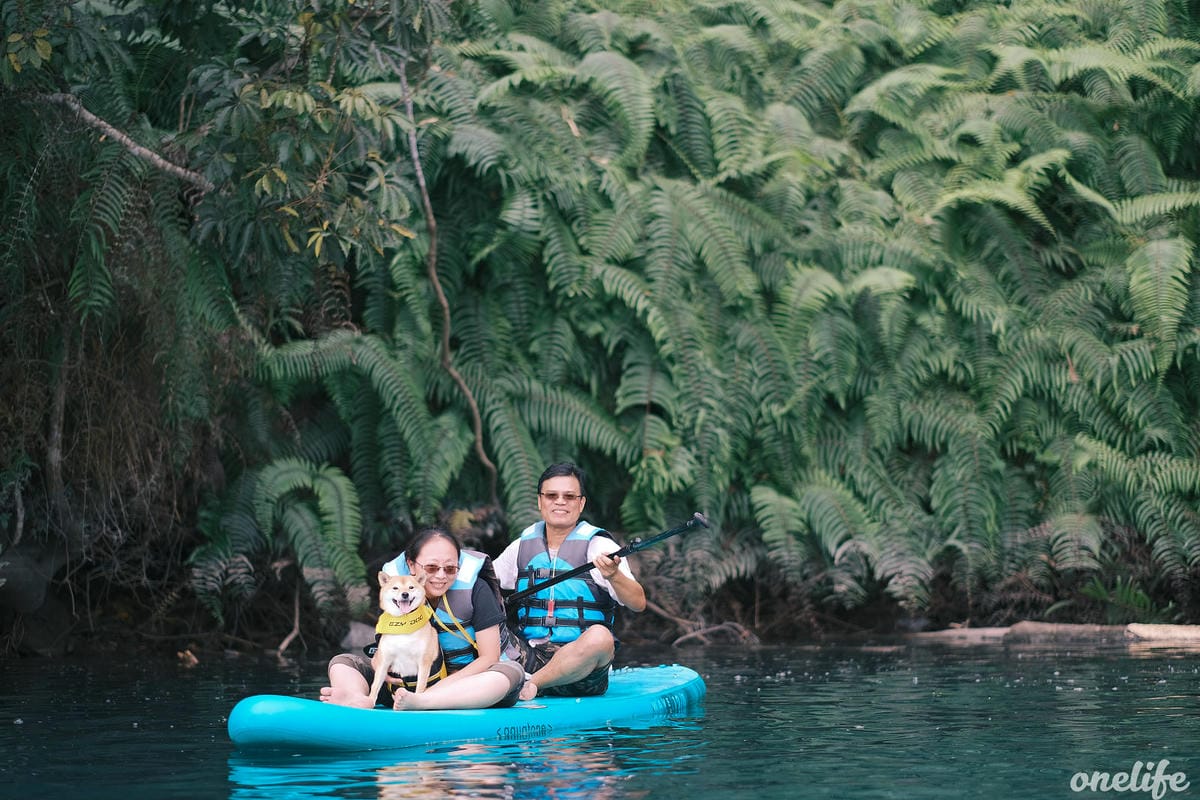 【南投寵物友善餐廳、旅遊景點懶人包】帶毛小孩吃喝玩樂趴趴GO 【南投寵物友善餐廳、旅遊景點懶人包】帶毛小孩吃喝玩樂趴趴GO