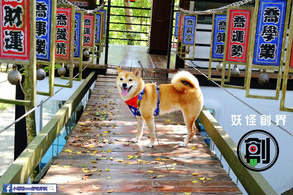 【南投寵物友善餐廳、旅遊景點懶人包】帶毛小孩吃喝玩樂趴趴GO 【南投寵物友善餐廳、旅遊景點懶人包】帶毛小孩吃喝玩樂趴趴GO
