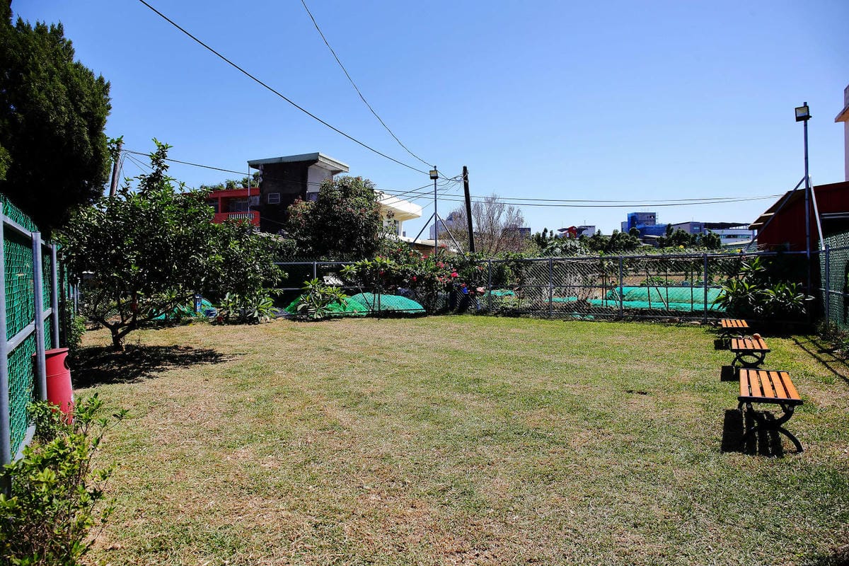 【食。平鎮】聚柴gdog寵物友善餐廳〜親子寵物草皮景觀餐廳。