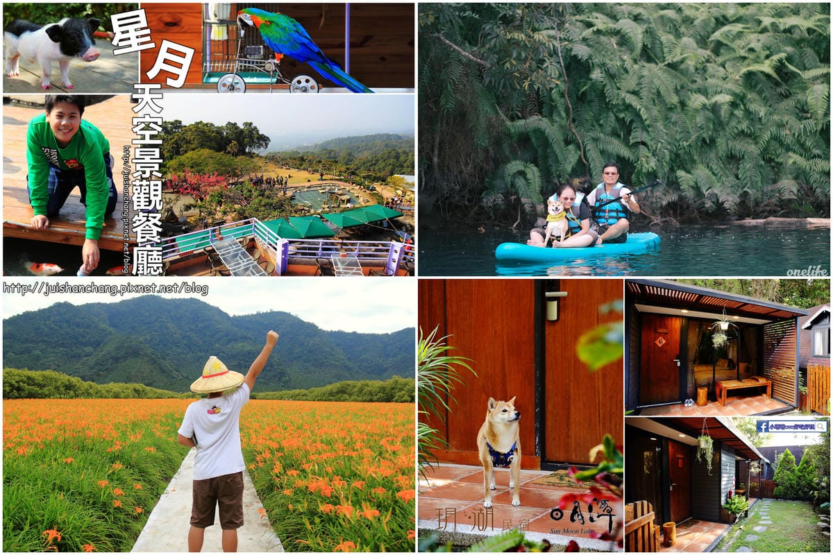 【食。平鎮】聚柴gdog寵物友善餐廳〜親子寵物草皮景觀餐廳。