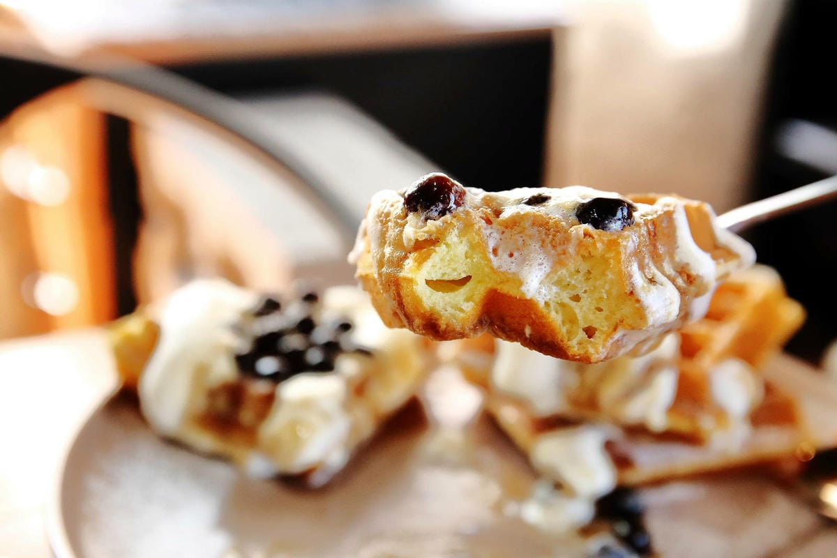 【食。平鎮】聚柴gdog寵物友善餐廳〜親子寵物草皮景觀餐廳。