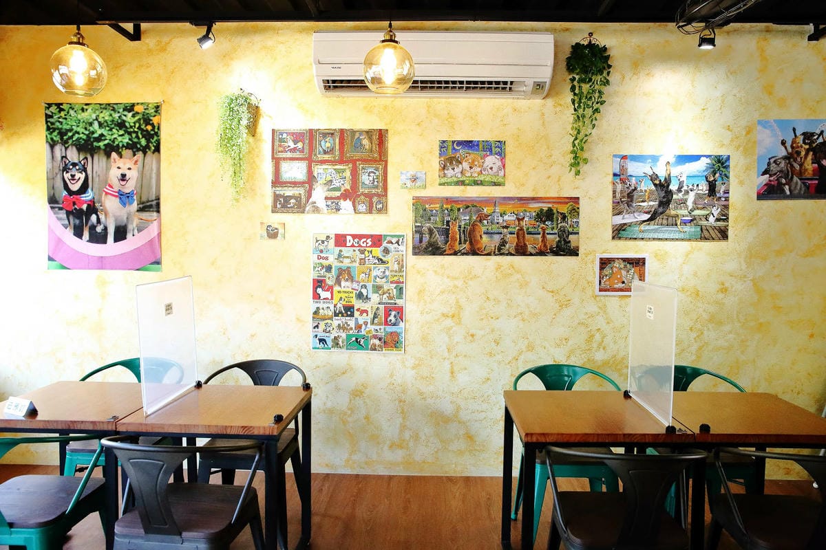 【食。平鎮】聚柴gdog寵物友善餐廳〜親子寵物草皮景觀餐廳。