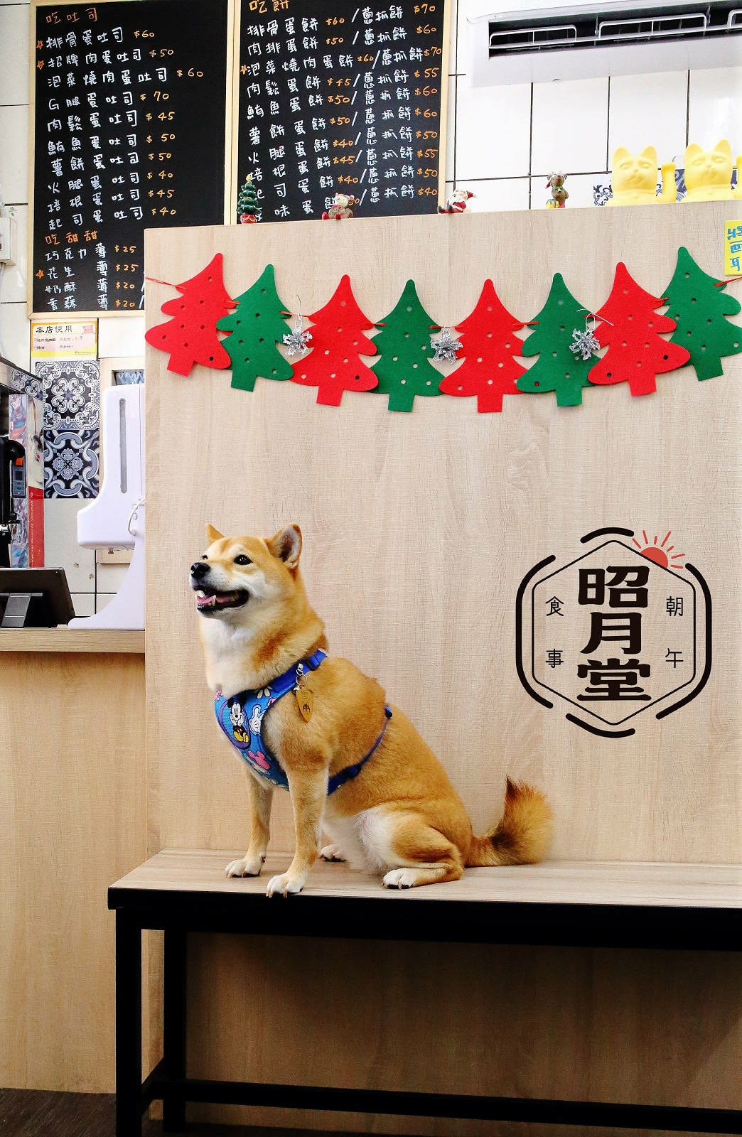 永和新開濃厚的日式風早午餐,超霸氣整塊炸排骨鋪到吐司裡,吐司