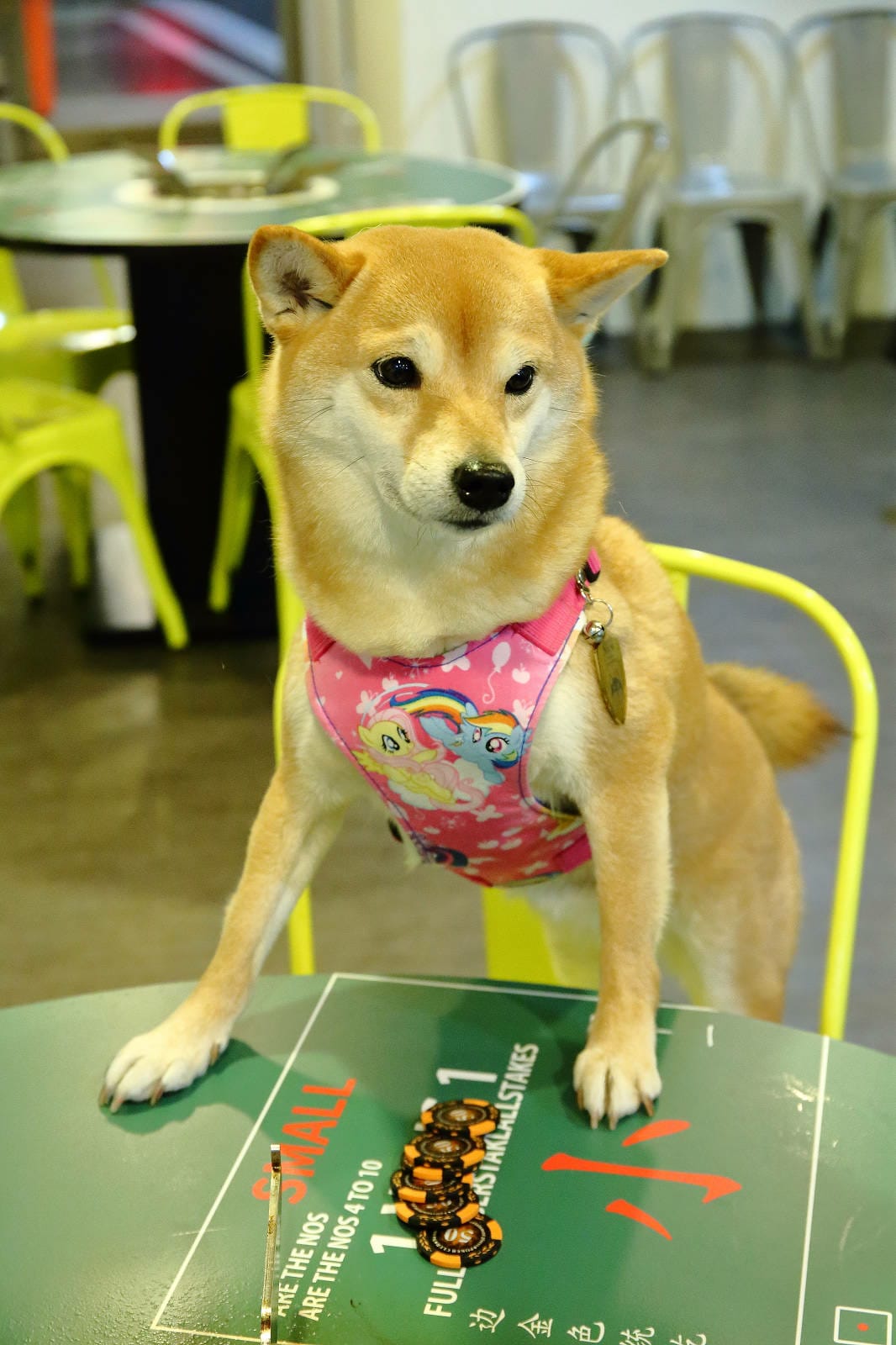 浮誇系卜卜蛤蜊火鍋，全台第一家賭桌風格火鍋，誰才是真正的賭神