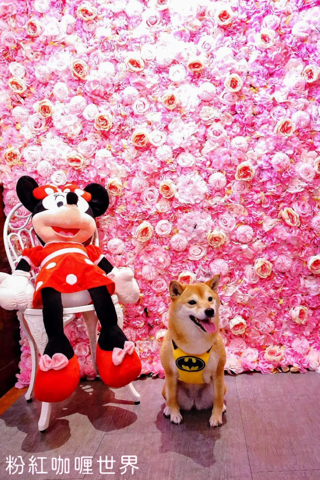 1543717.jpg 1543717.jpg