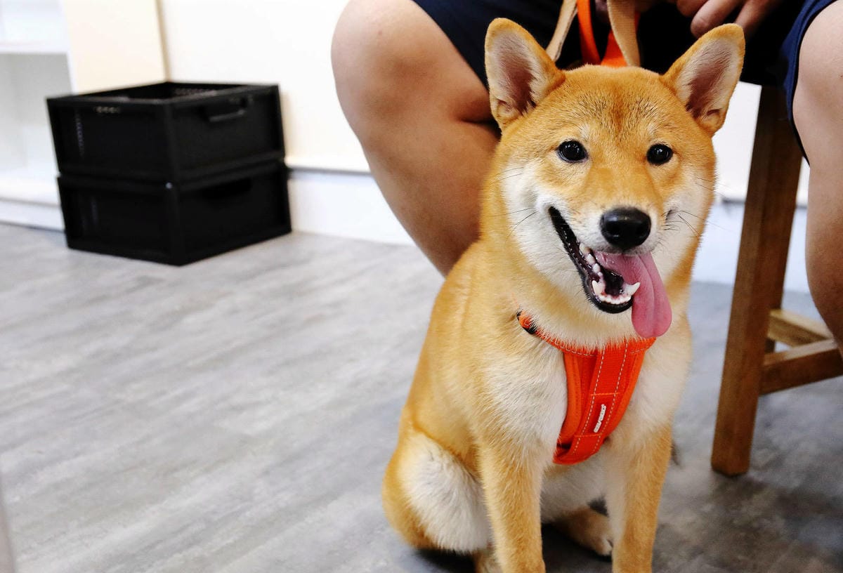 2022永和話題新開店，永和超強的餐包，從餐車到獨立店面，新