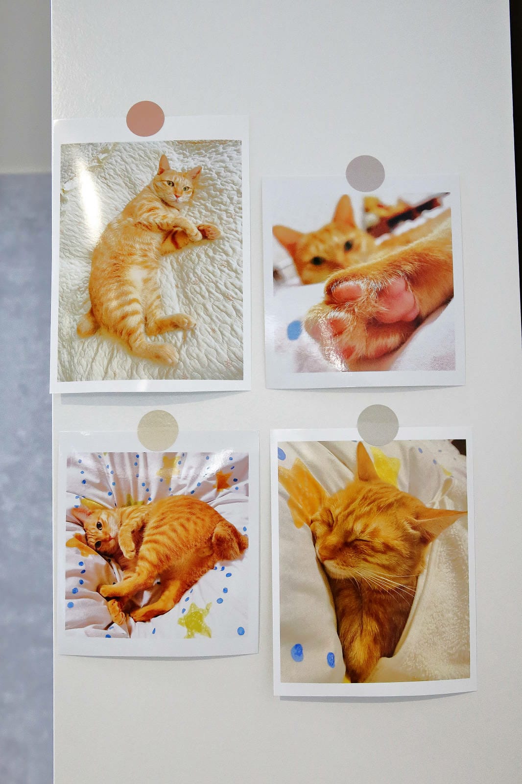 2022永和話題新開店，永和超強的餐包，從餐車到獨立店面，新