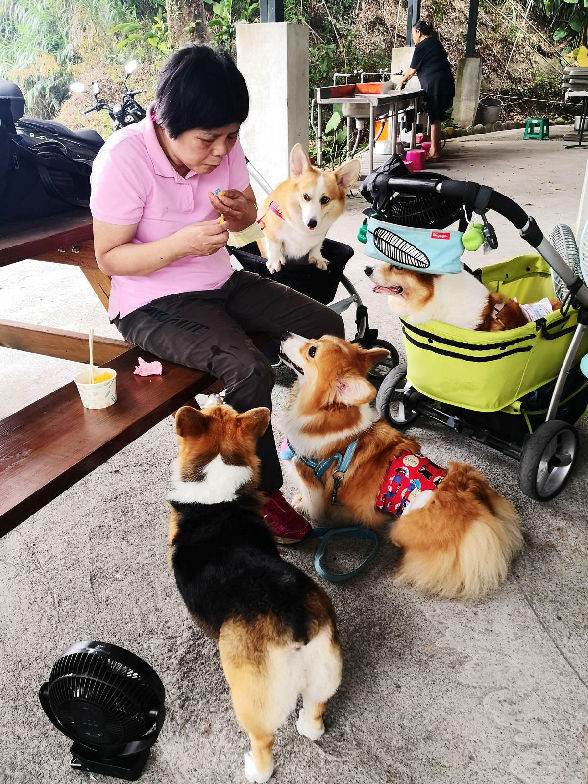 焢窯體驗哪裡玩?新北金山親子農場推薦!體驗古早農村味,內行人 焢窯體驗哪裡玩?新北金山親子農場推薦!體驗古早農村味,內行人