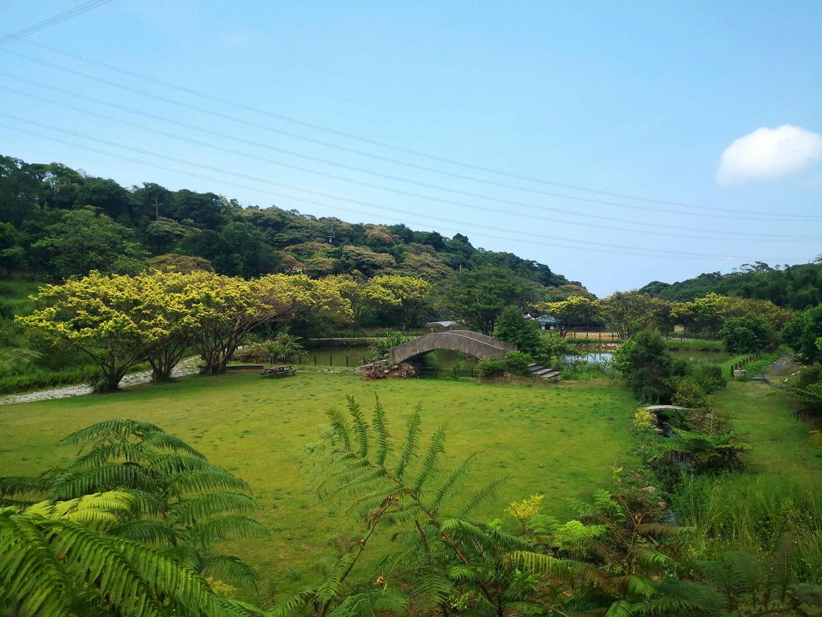 焢窯體驗哪裡玩?新北金山親子農場推薦!體驗古早農村味,內行人 焢窯體驗哪裡玩?新北金山親子農場推薦!體驗古早農村味,內行人