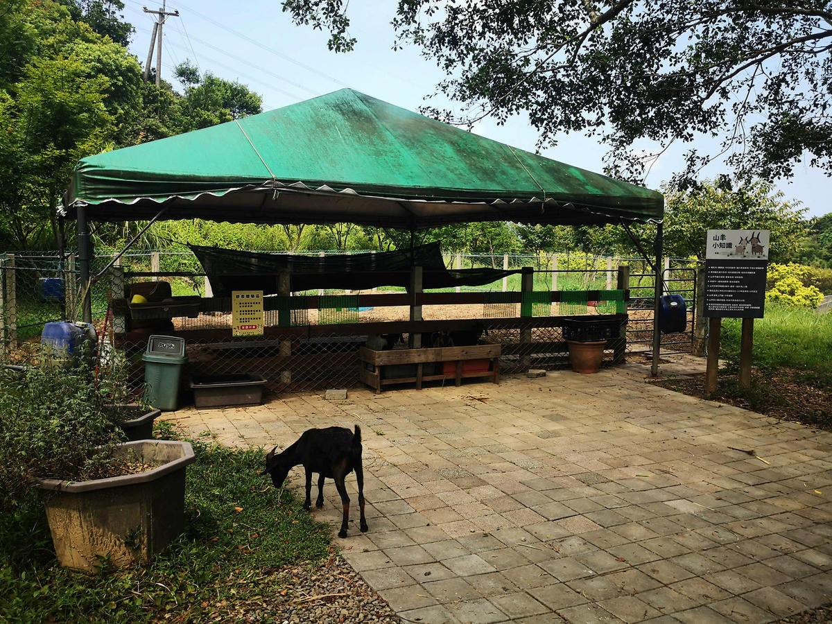 焢窯體驗哪裡玩?新北金山親子農場推薦!體驗古早農村味,內行人 焢窯體驗哪裡玩?新北金山親子農場推薦!體驗古早農村味,內行人