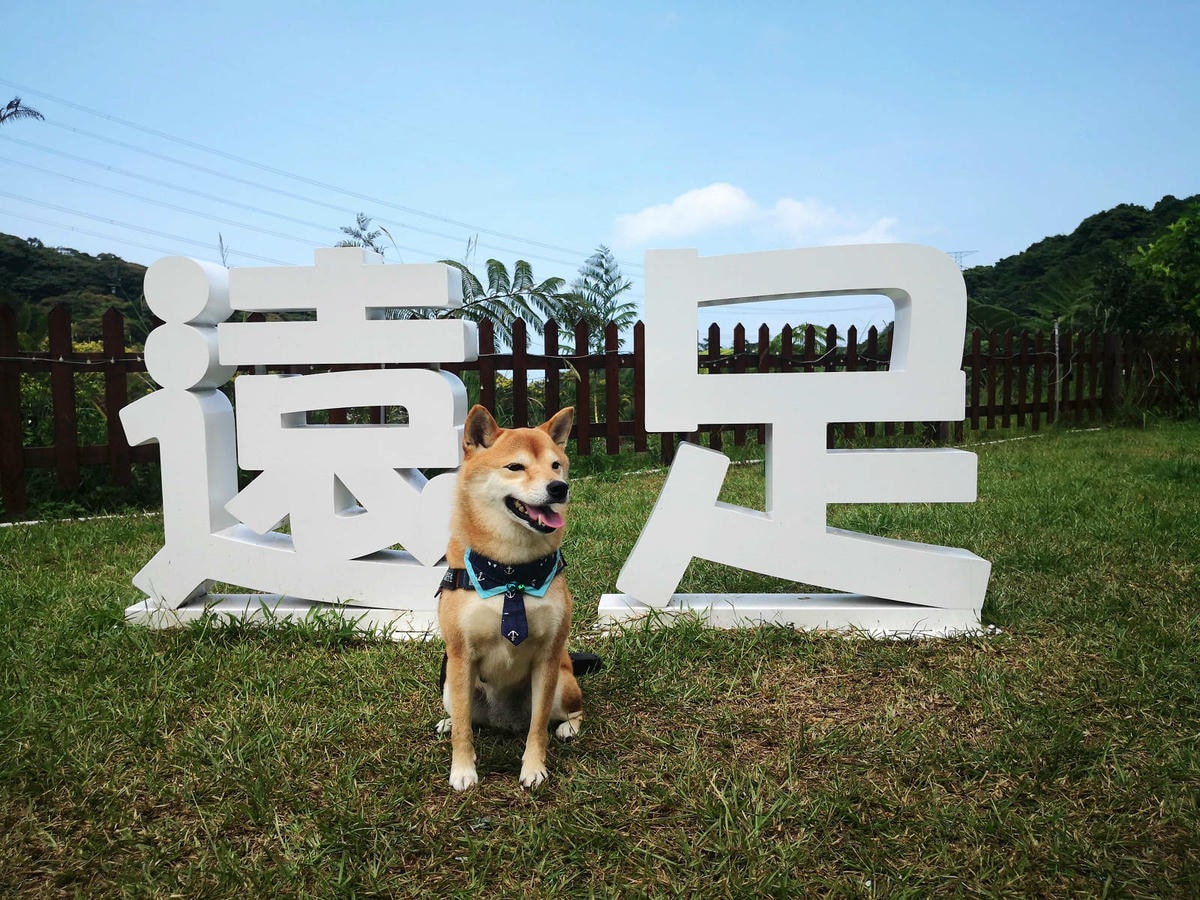 焢窯體驗哪裡玩?新北金山親子農場推薦!體驗古早農村味,內行人 焢窯體驗哪裡玩?新北金山親子農場推薦!體驗古早農村味,內行人