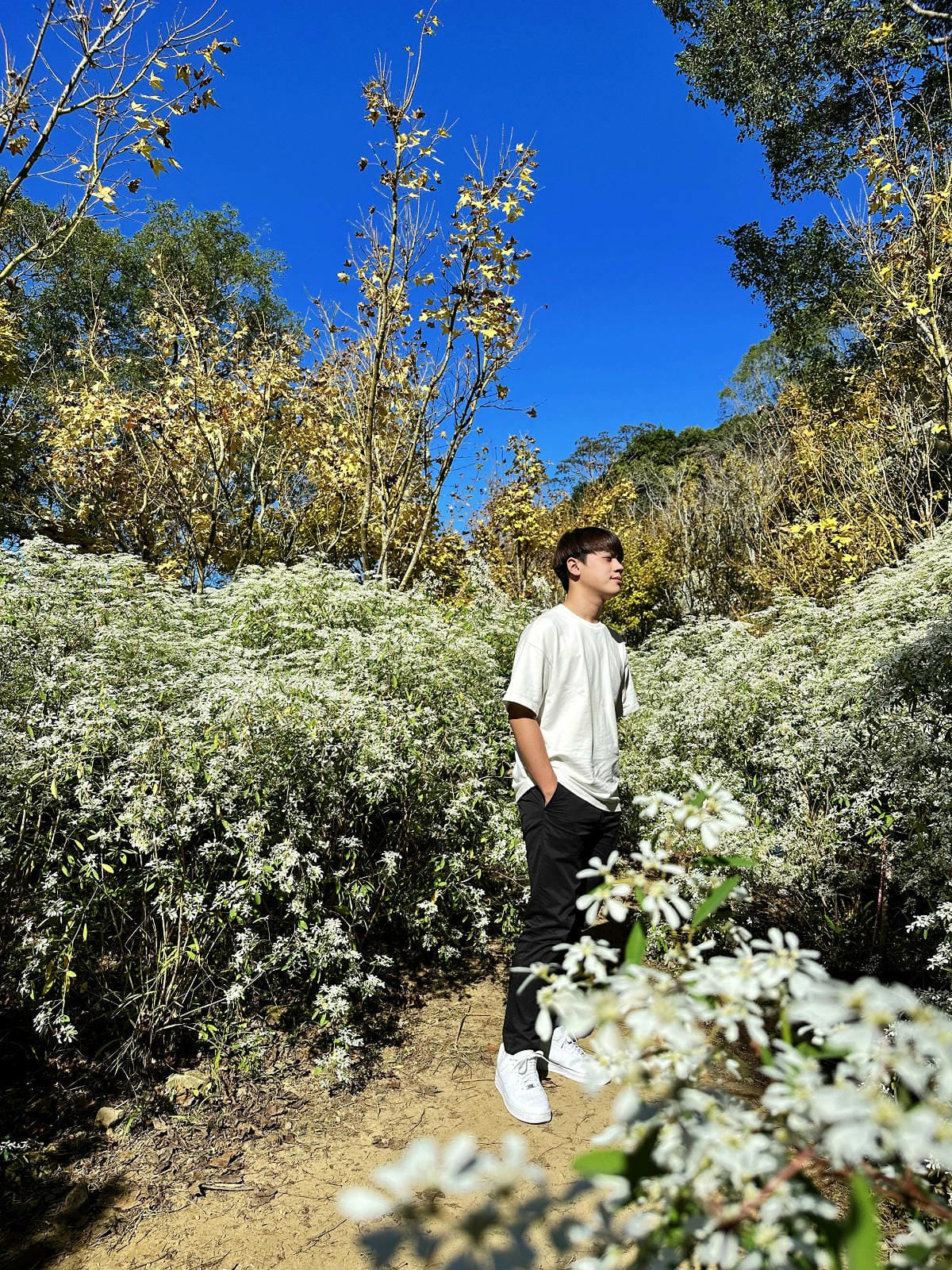 IMG_6399.JPG IMG_6399.JPG