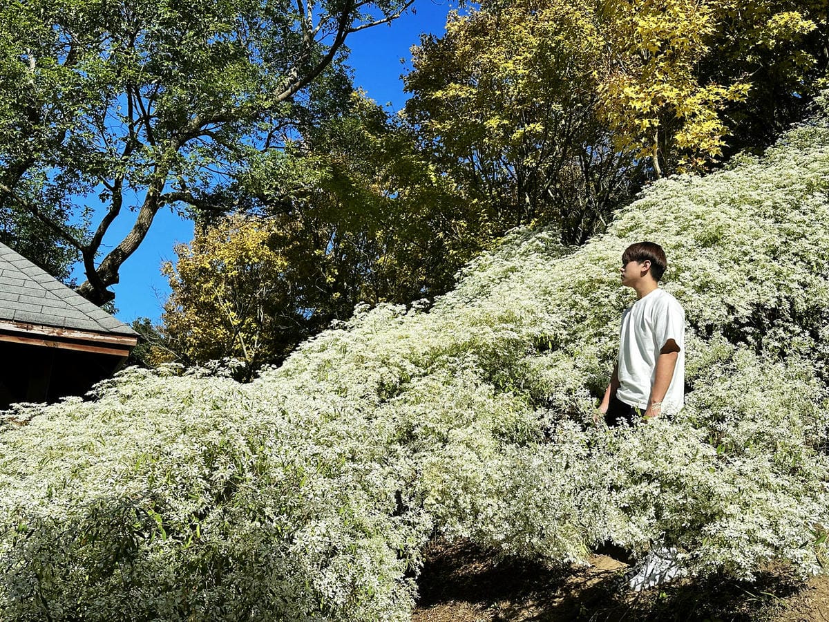 IMG_6411.JPG IMG_6411.JPG