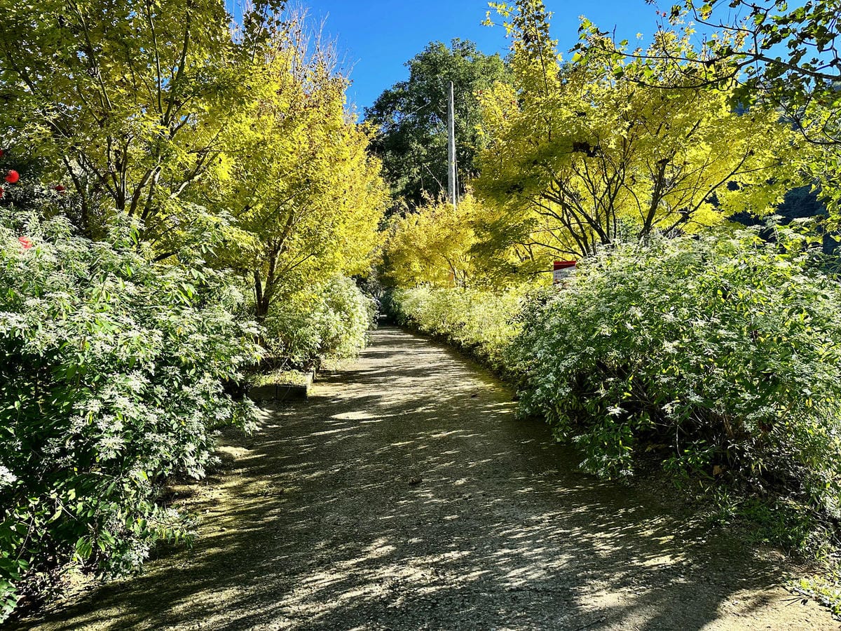 IMG_6307.JPG IMG_6307.JPG