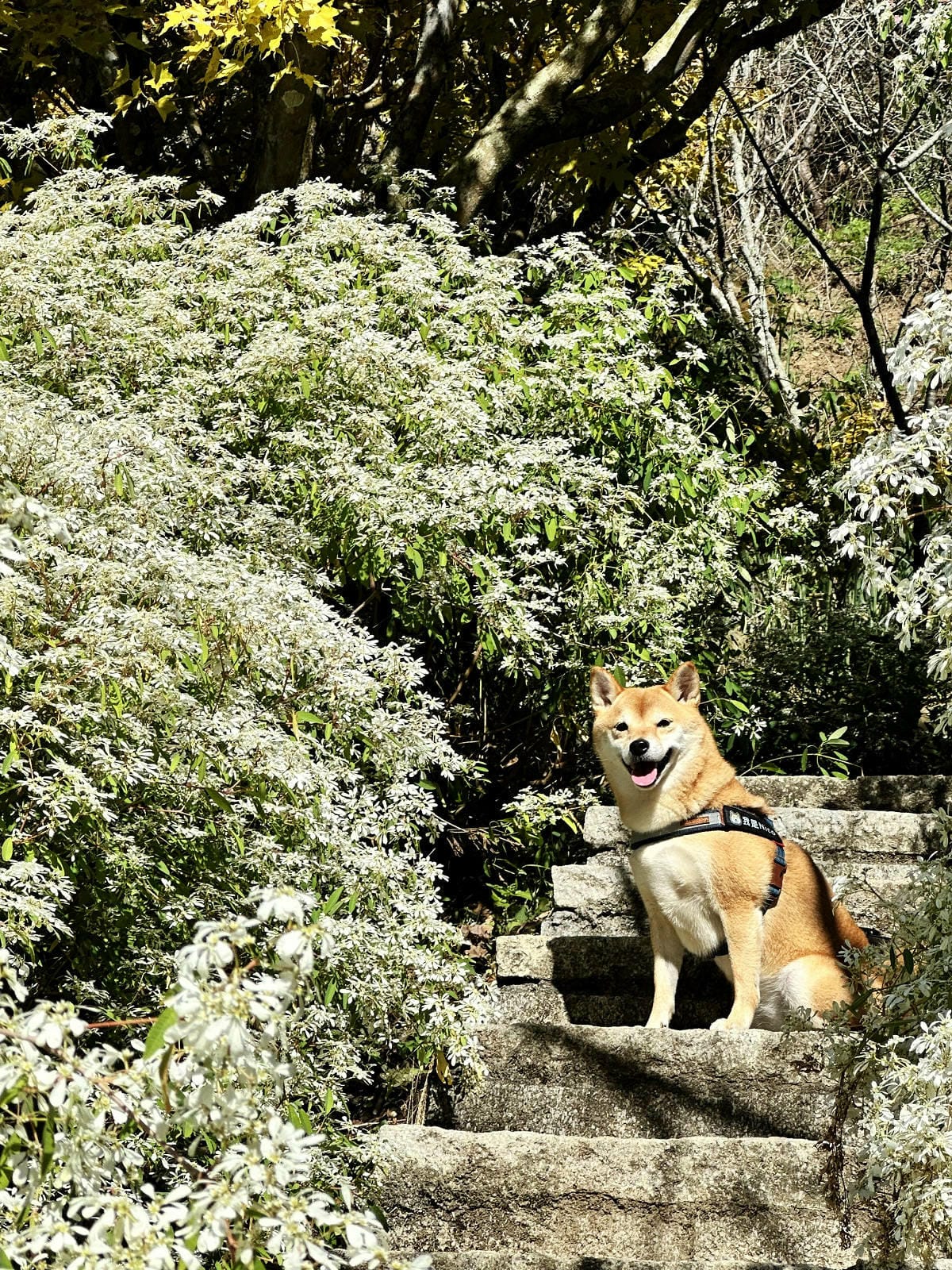 IMG_6406.JPG IMG_6406.JPG