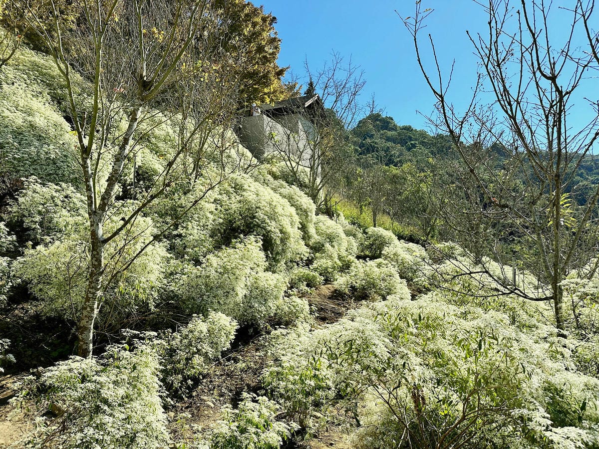 IMG_6424.JPG IMG_6424.JPG