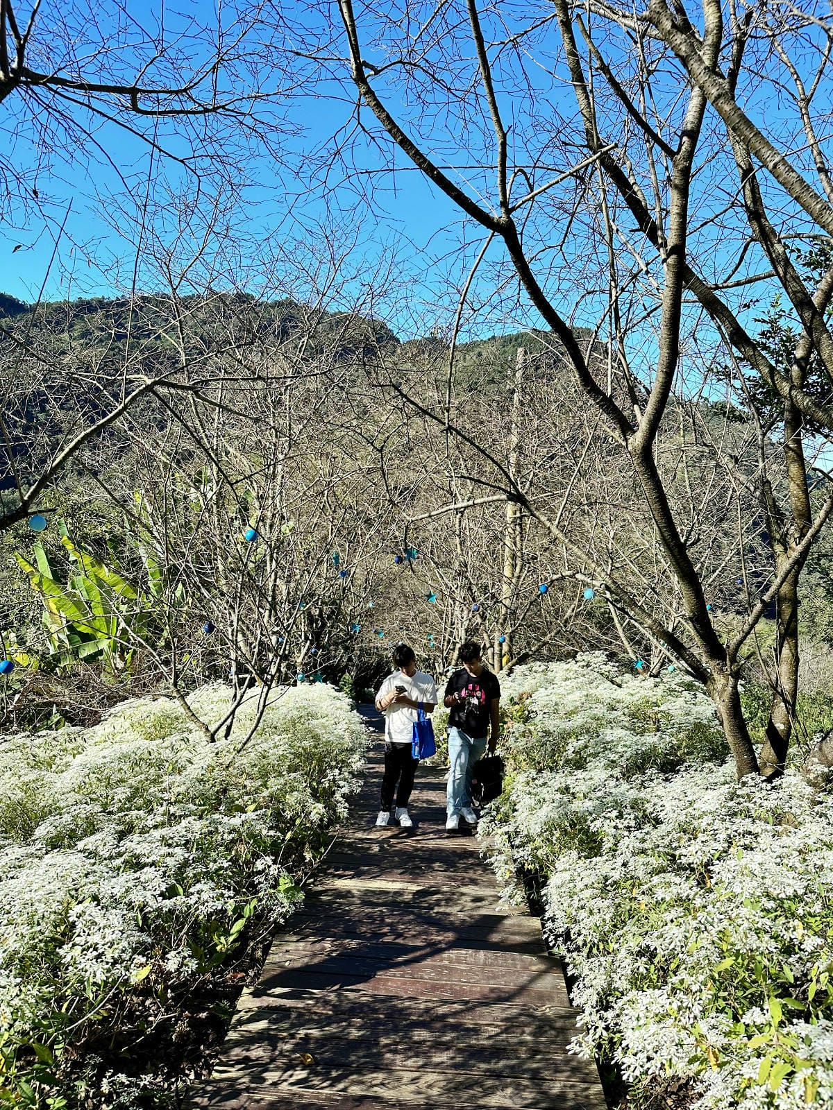 IMG_6345.JPG IMG_6345.JPG