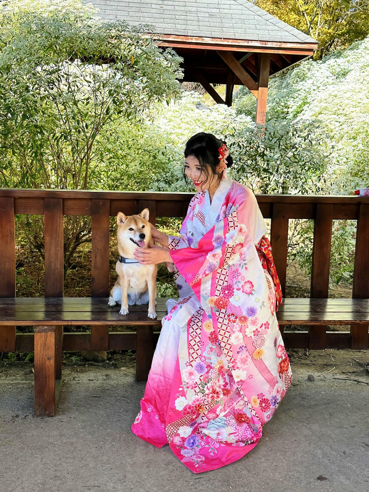 IMG_6419.JPG IMG_6419.JPG