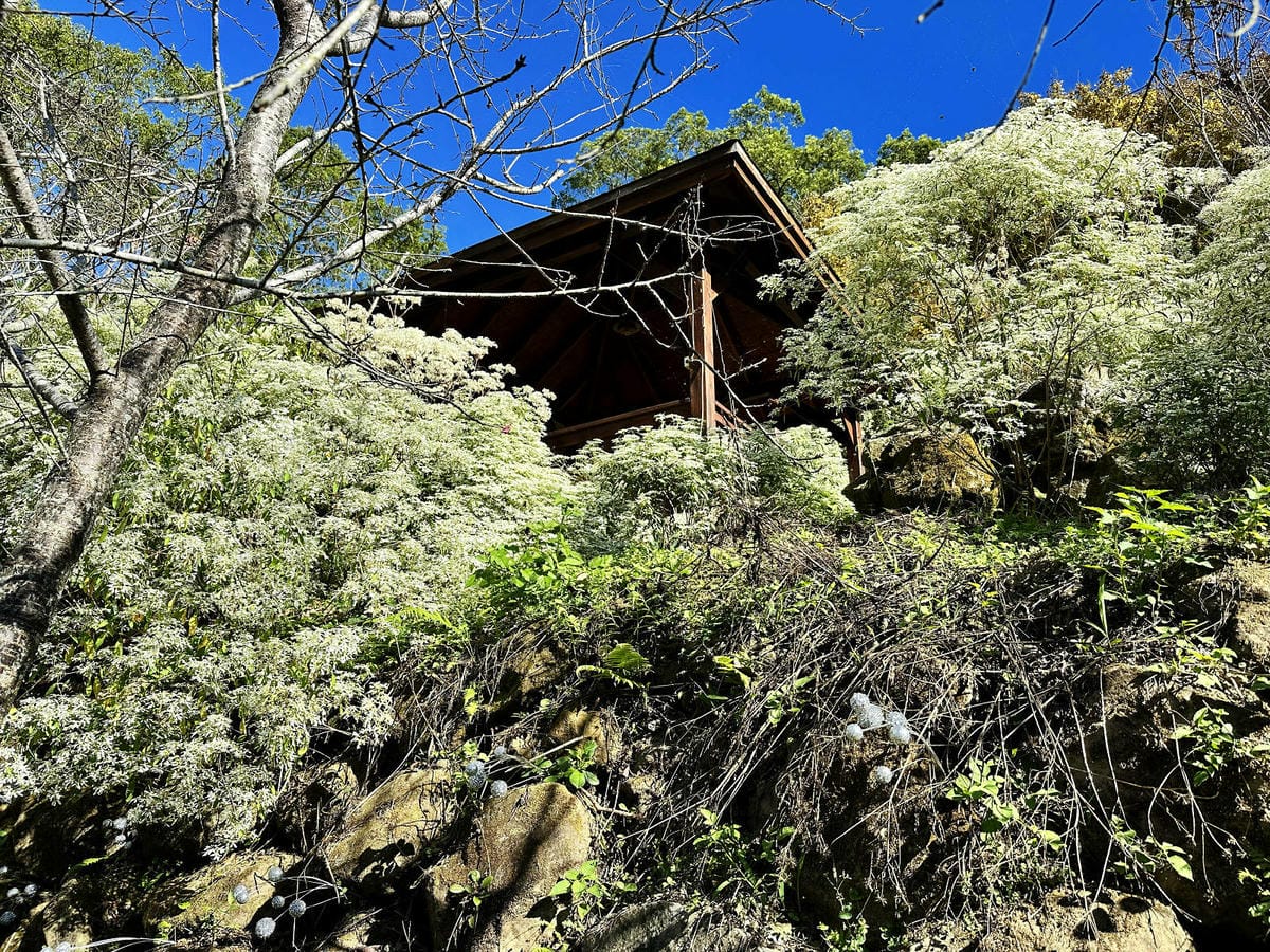 IMG_6355.JPG IMG_6355.JPG