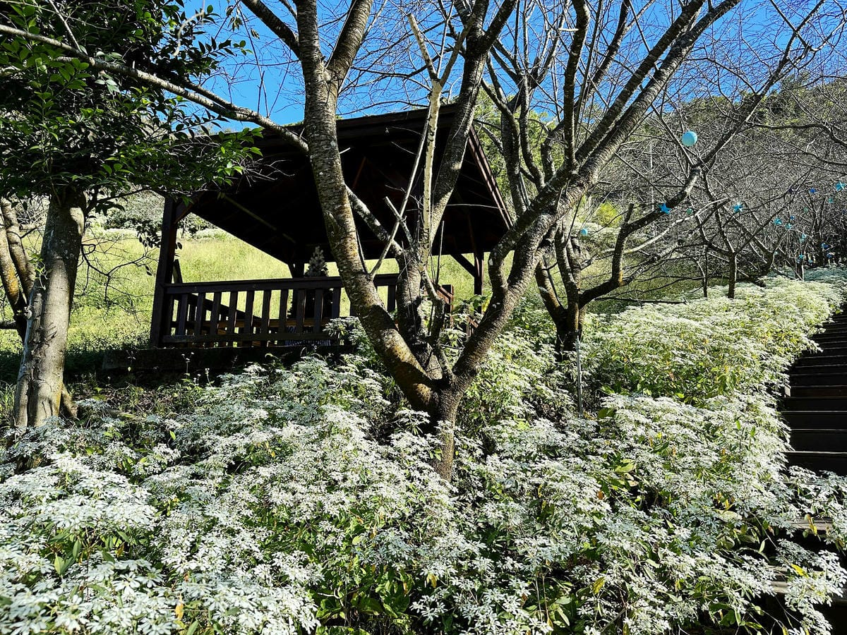 IMG_6337.JPG IMG_6337.JPG