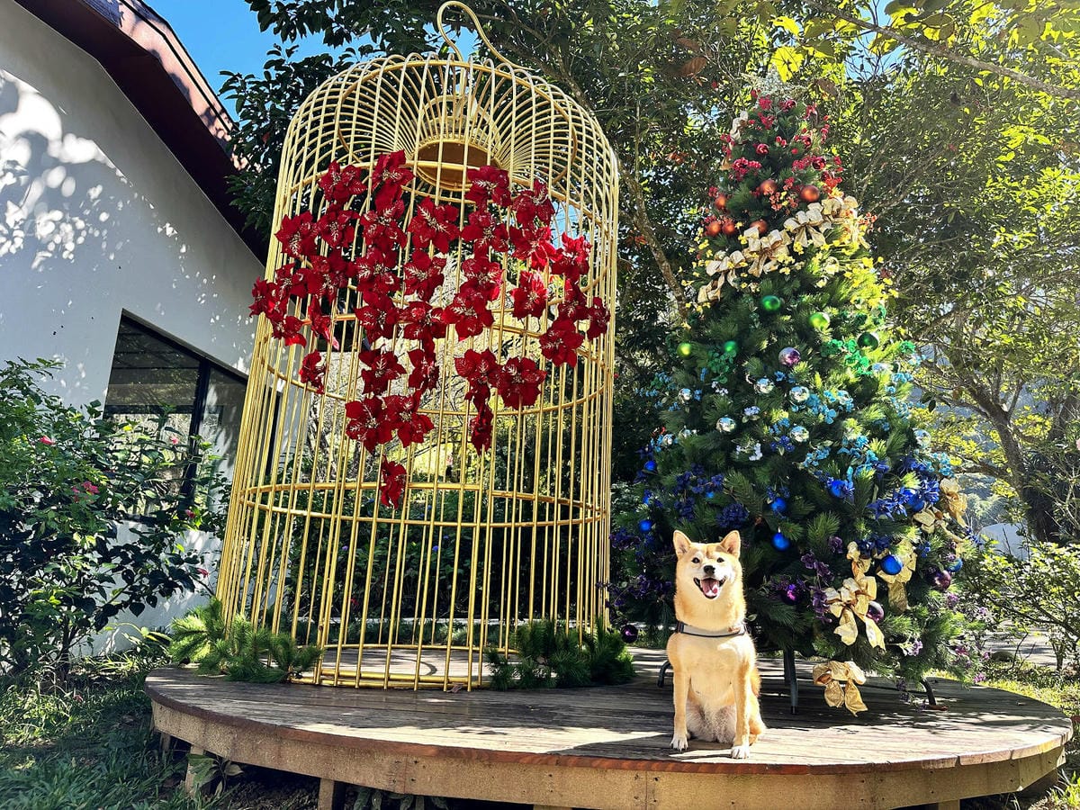 IMG_6438.JPG IMG_6438.JPG