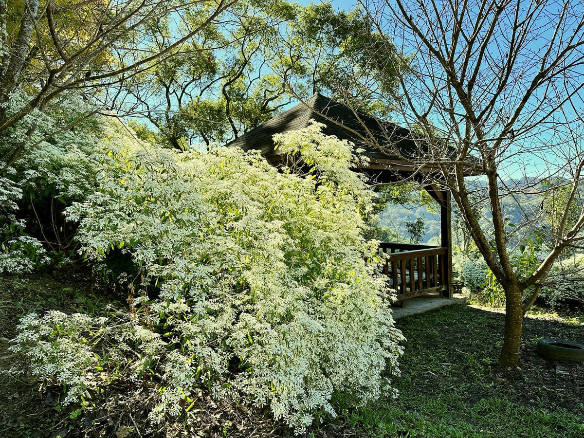 IMG_6361.JPG IMG_6361.JPG