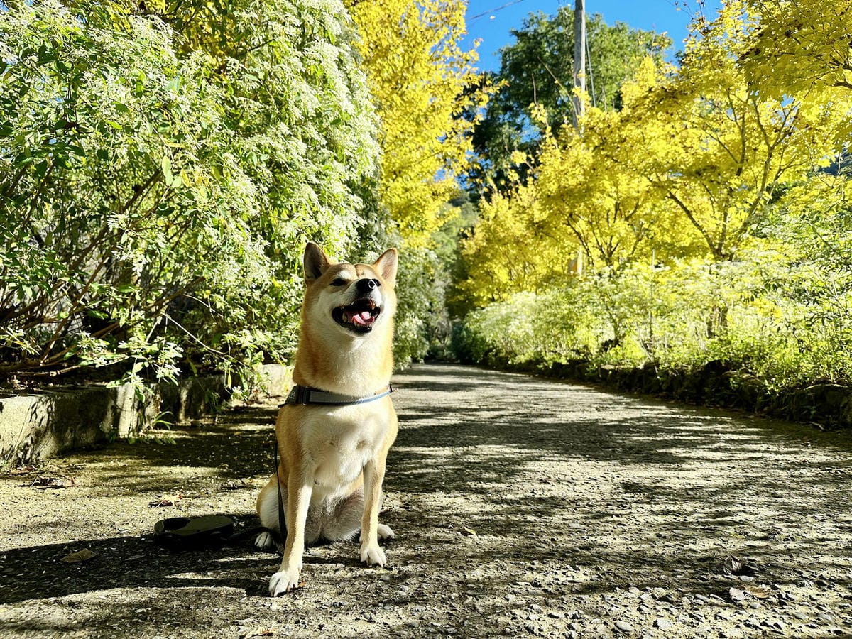 IMG_6312.JPG IMG_6312.JPG