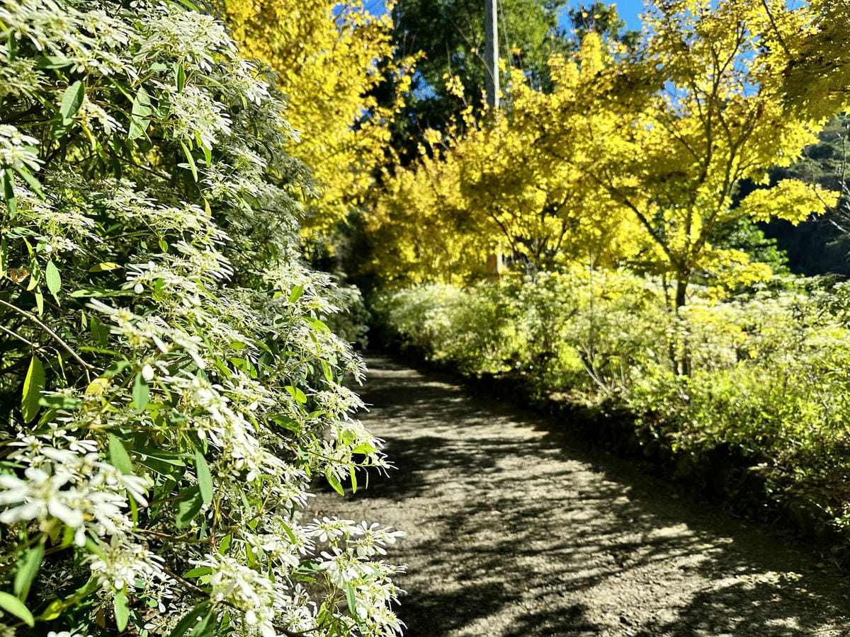 IMG_6314.JPG IMG_6314.JPG