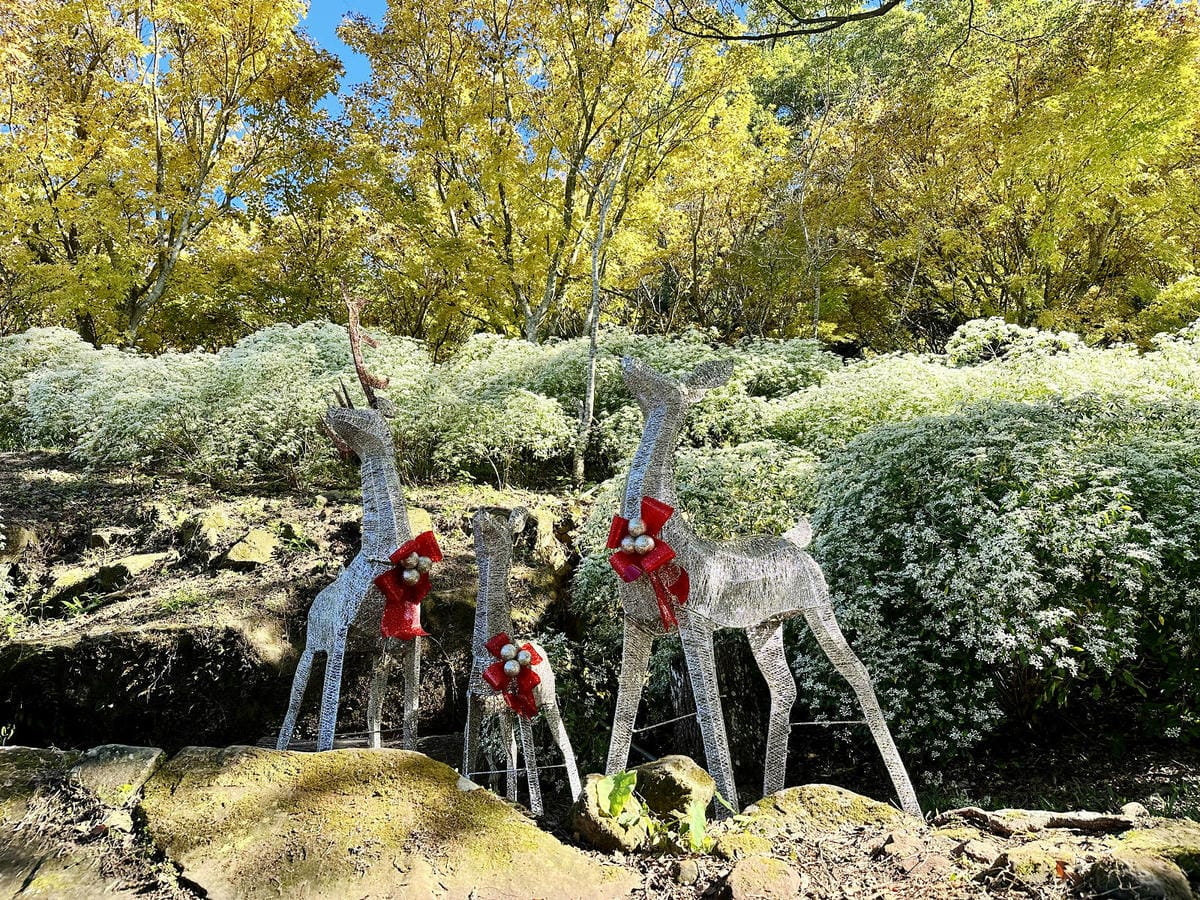 IMG_6358.JPG IMG_6358.JPG