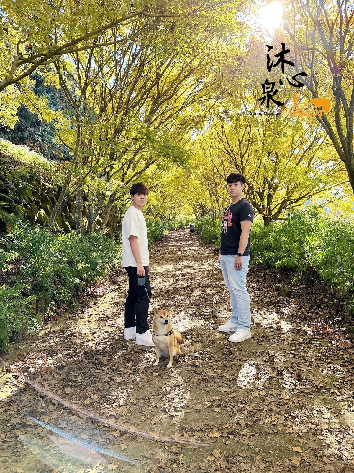 IMG_6379.JPG IMG_6379.JPG